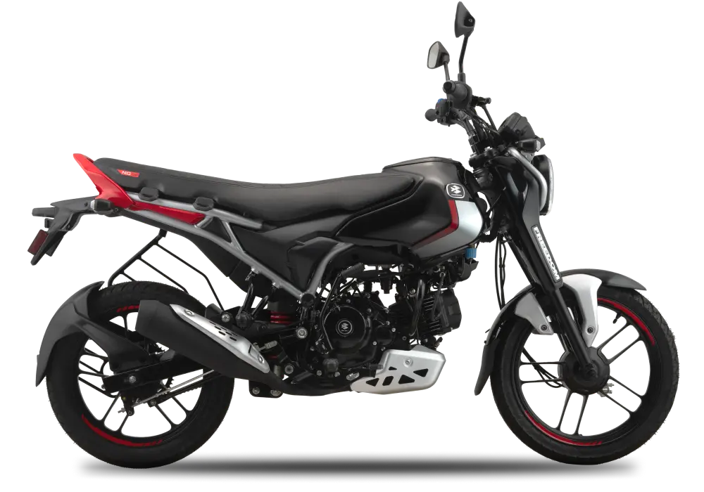 Bajaj-Freedom-125-NG04