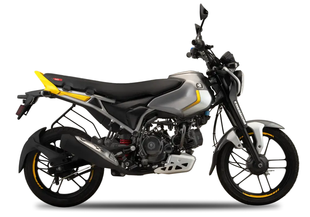 Bajaj-Freedom-125-NG04