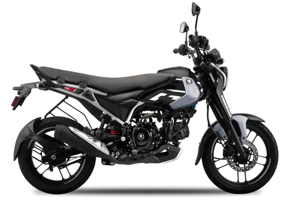 Bajaj-Freedom-125-NG04